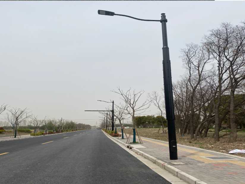 罗庄区上海综合杆 太阳能路灯工程